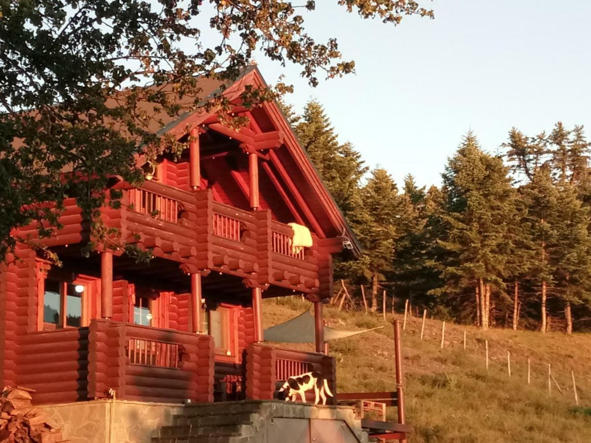 Katafygio Chalet, Krikello Krikellon Luaran gambar